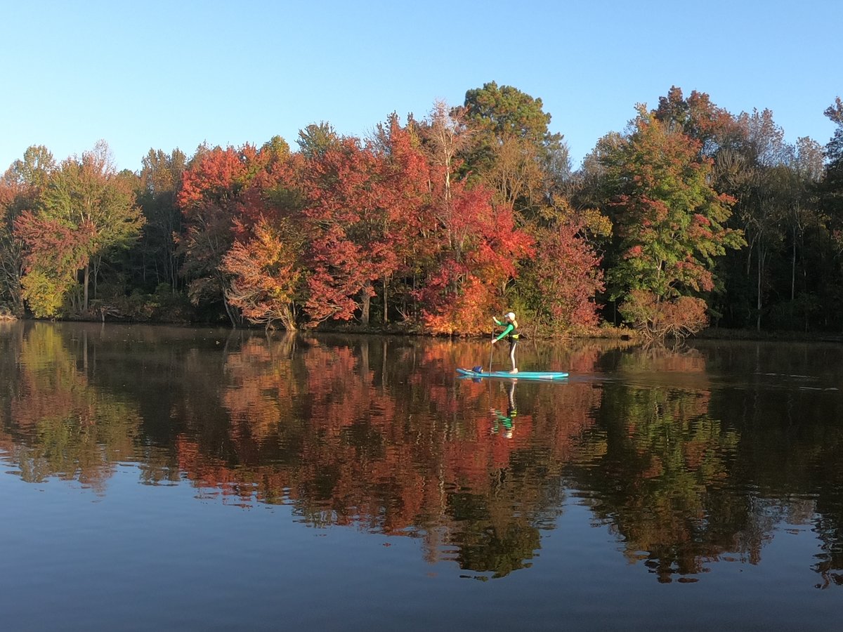 BackcountryNC's tweet photo. Check out the beautiful fall foliage on the banks of Cane Creek from our @Yoloboard ambassadors David and Lisa White!

https://t.co/P0IFl7uVKz

How are you enjoying this incredible fall weather?

#gobeyond #yoloboard #yoloadventures #outdoors https://t.co/MSG6QXVqns