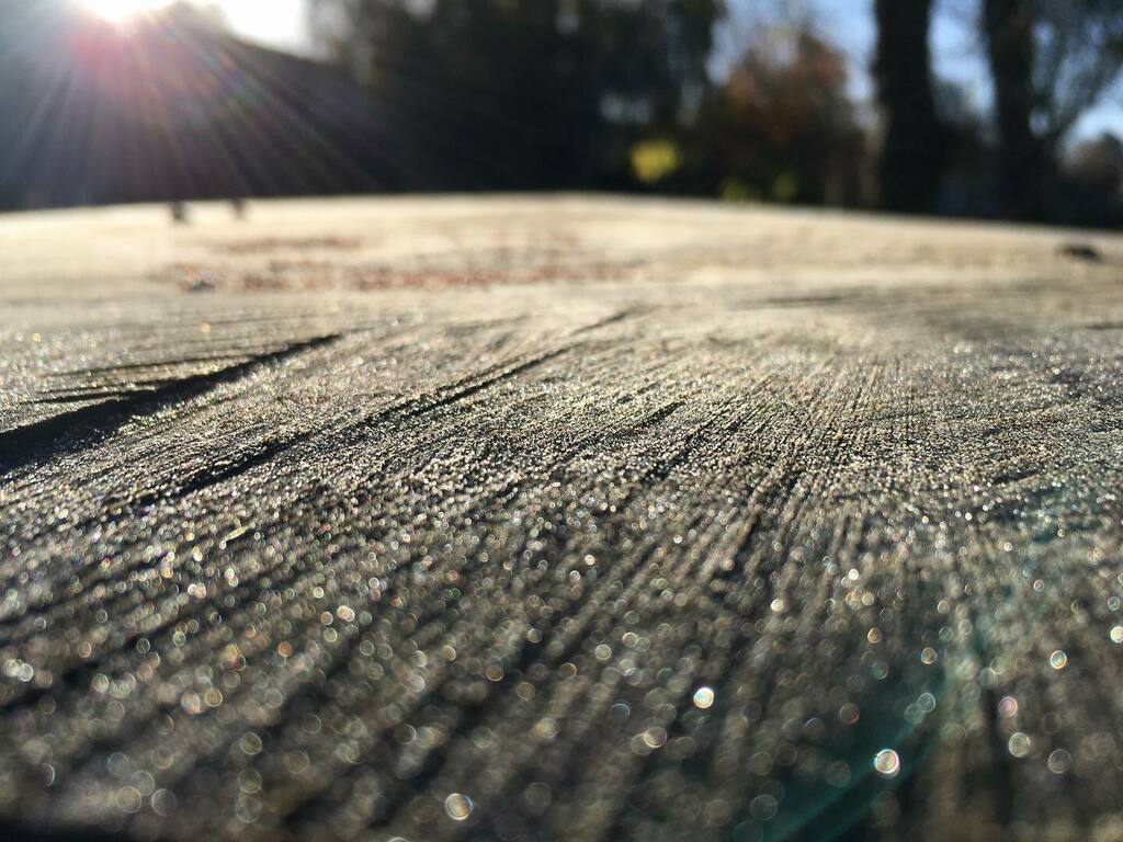 soshanau's tweet photo. This cut tree trunk looked like an ice rink this morning ice βΈ #treetrunk #frost #frosty #texturehuntergatherer #lookdown #texture #texturehunter #dailywalk #morningcommute #coviddiaries #dailyexercise https://t.co/6W42PqyFiM https://t.co/5jmQdCzq6R