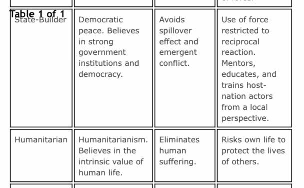 The state-builder & the humanitarian soldier types: /13