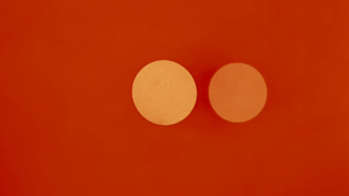 Morning
crawl in
sun is
dawning
floating
stalling
daylight 
calling
strolling
rolling
love is
falling 

youtu.be/-V1wqgUxrCE

#diymusicvideo #oskarfischinger #vintageanimation