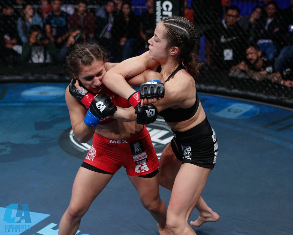 combateglobal's tweet photo. Relive Maria's first victory inside #LaJaula of Combate Americas' when she defeated Alitzel Mariscal in our first trip to Peru via split decision
🔗: https://t.co/SSdi74PuSj
#CombateAmericas
#CombatePeru https://t.co/lYC4JudVO7