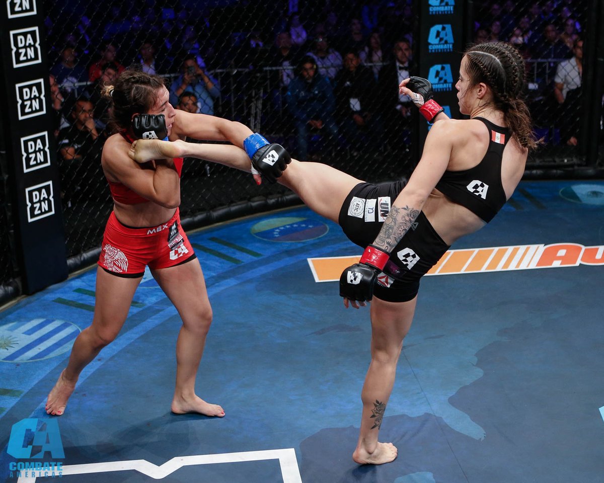 combateglobal's tweet photo. Relive Maria's first victory inside #LaJaula of Combate Americas' when she defeated Alitzel Mariscal in our first trip to Peru via split decision
🔗: https://t.co/SSdi74PuSj
#CombateAmericas
#CombatePeru https://t.co/lYC4JudVO7