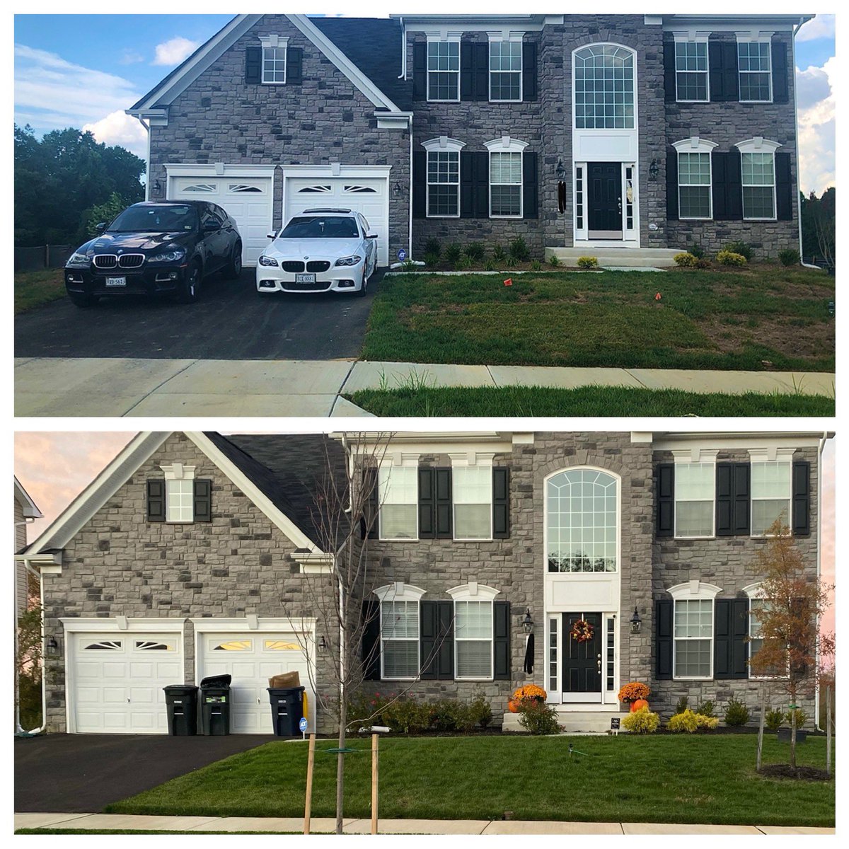 Before and after lawn renovation!!