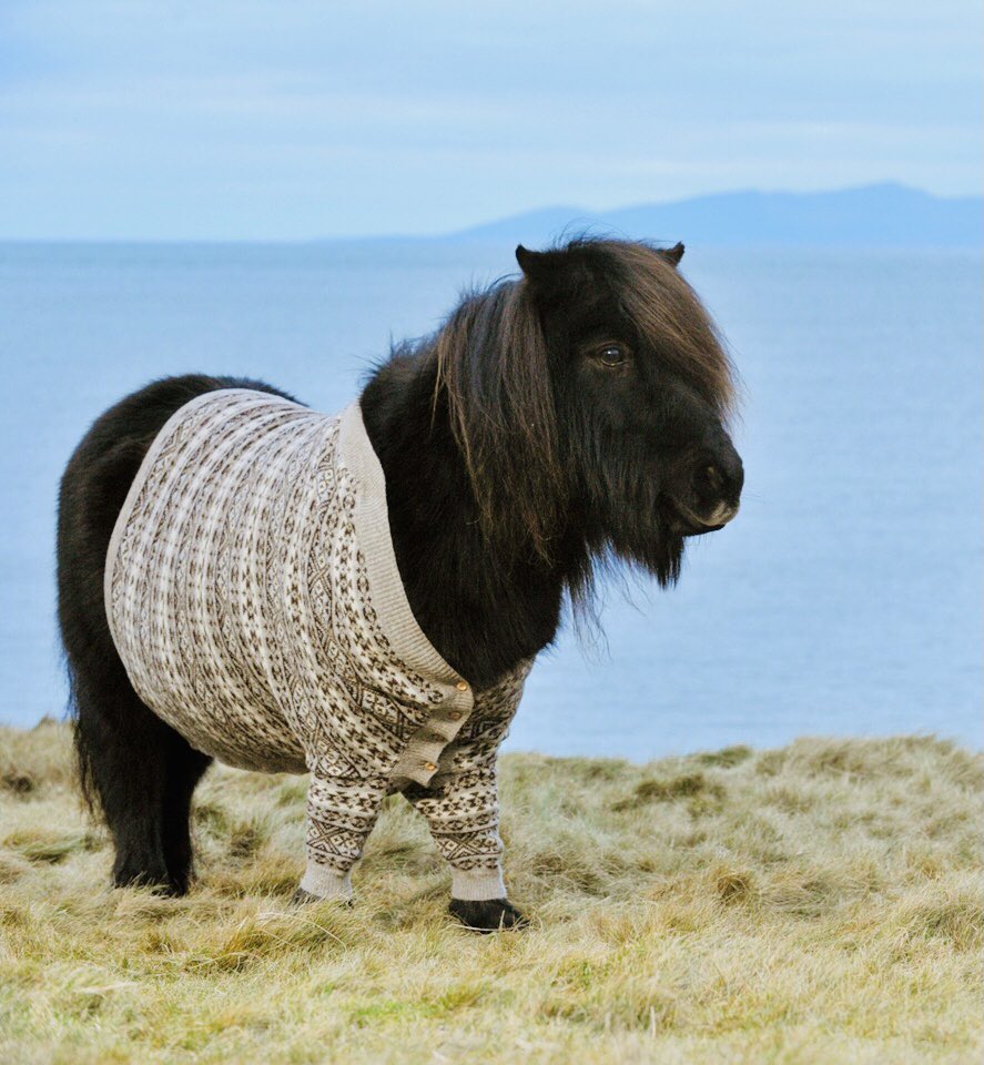 Yoongisoft, smol, quiet until provoked