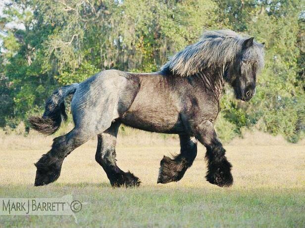 Namjoonmajestic, thicc, one with nature