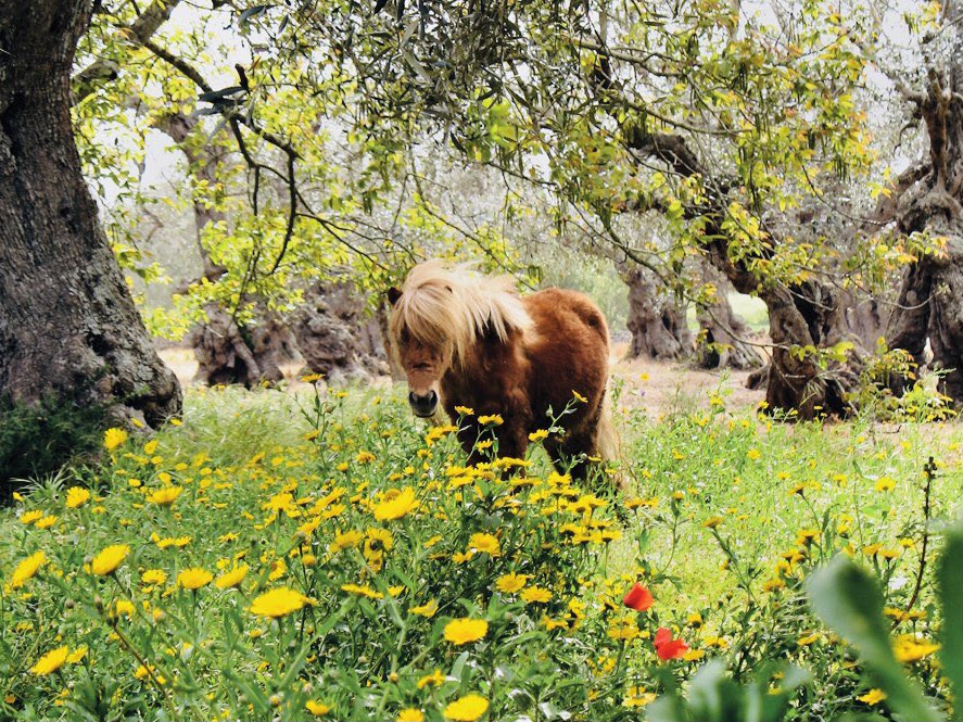 Namjoonmajestic, thicc, one with nature
