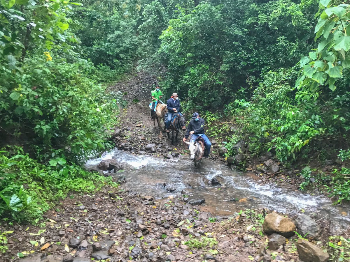 LE_CarlesR's tweet photo. Hoy realicé recorrido de reconocimiento del tramo carretero El Peñón/El Palmar de Olá. Este proyecto incluido en el presupuesto 2021 conectará al Corregimiento de El Palmar con Olá y beneficiará directamente a comunidades como La Mesa, La Mina, Tasajera, La Mesita y Burrica. https://t.co/7w959eos0O