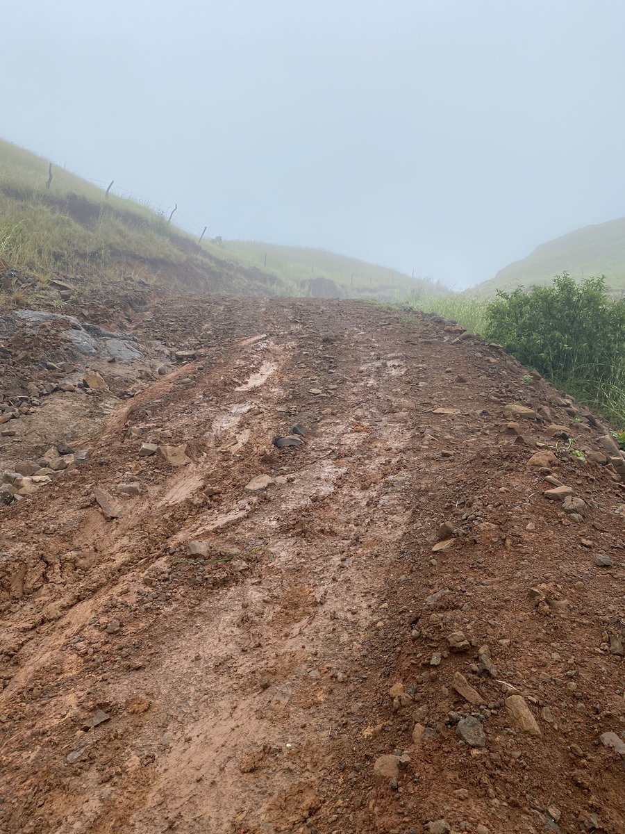 LE_CarlesR's tweet photo. Hoy realicé recorrido de reconocimiento del tramo carretero El Peñón/El Palmar de Olá. Este proyecto incluido en el presupuesto 2021 conectará al Corregimiento de El Palmar con Olá y beneficiará directamente a comunidades como La Mesa, La Mina, Tasajera, La Mesita y Burrica. https://t.co/7w959eos0O
