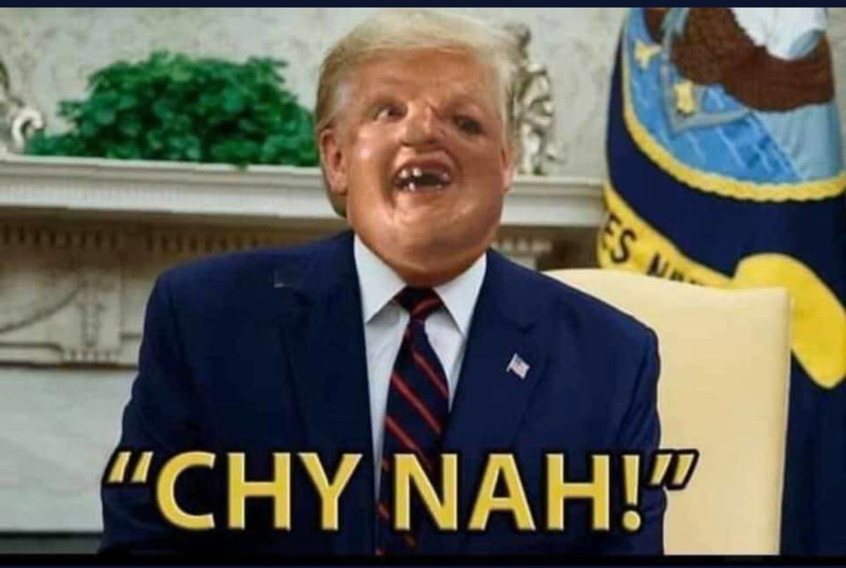 xtcunltd01's tweet photo. @realDonaldTrump It's called DEMOCRACY Mussolini.. You count everyone's vote.... Go live in CHY-NA if you don't like democracy. https://t.co/eVqO4POlp6