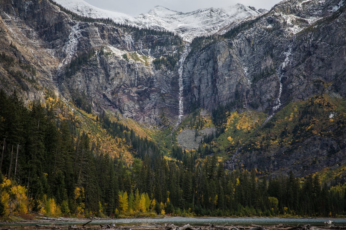 Why do some trees drop their leaves every fall (deciduous), while others hold onto their leaves year-round (evergreen)?(thread)