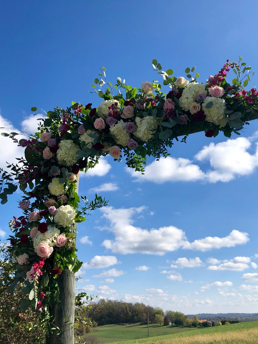 Berries and Birch (@berriesandbirch) on Twitter photo 