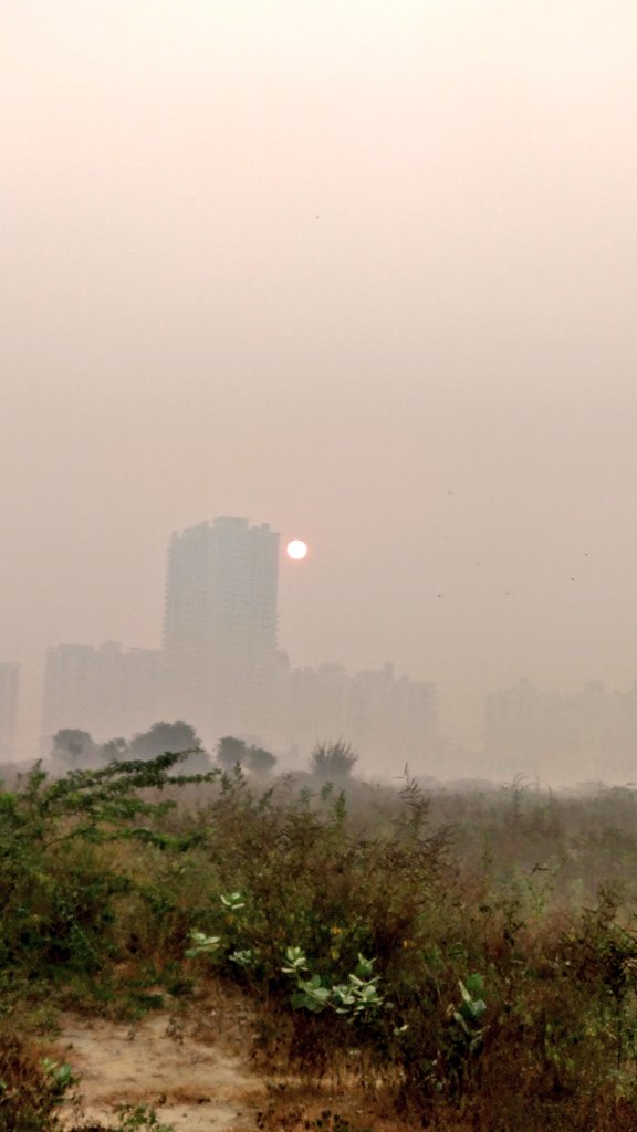 thehybridrunner's tweet photo. #MorningGlory #running didn't happen due2 high #AQI level instead did #run #walkitout cos #RunningMan #discipline rule
#Runaway
#runner
#runchat
#DelhiPollution
#delhiairpollution
#DelhiAirQuality
#walker
#Runmachine
#RUNBTSep112
#runfit
#runon
#fitnessaddict
#fitfam https://t.co/nlcCZKlqmx
