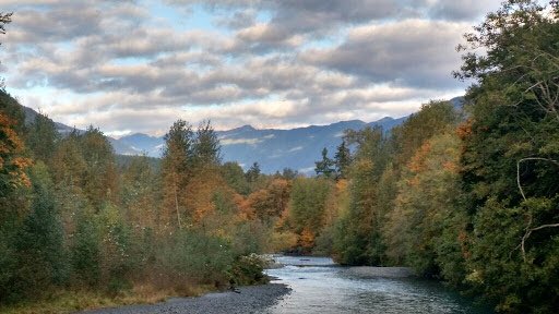 ForestServiceNW's tweet photo. “There are moments when all anxiety &amp; stated toil are becalmed in the infinite leisure &amp; repose of nature.”

—Henry David Thoreau https://t.co/Udgm22xu6D