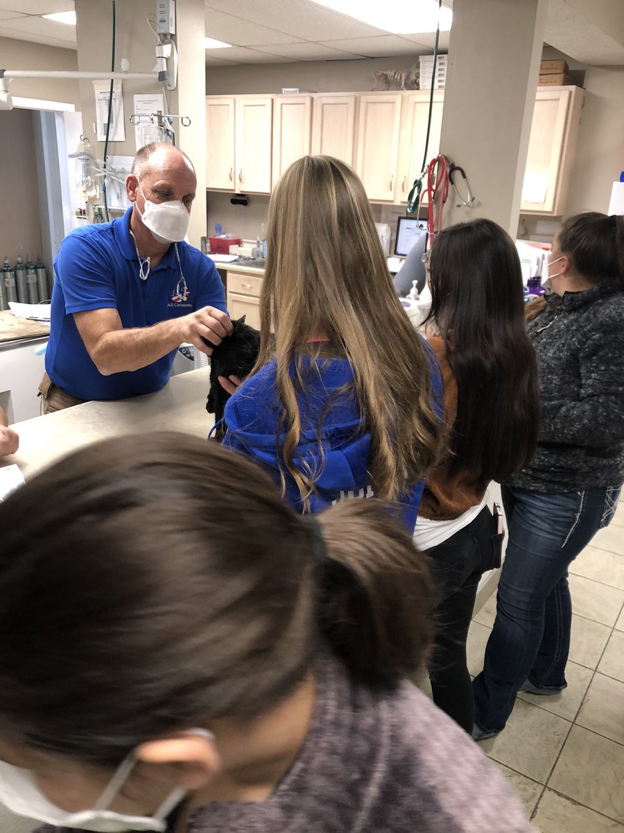 Vet Science Vitals Lab today! How many students can say they have taken vitals on a Bald Eagle? Thanks Dr Conner!