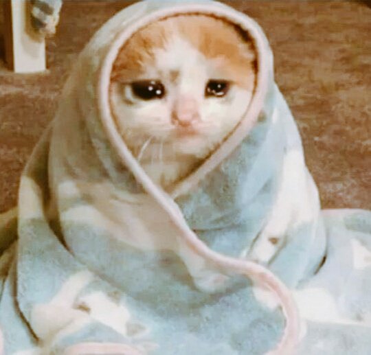 End of the thread ~Hope your idol interact with your post too!Someday...