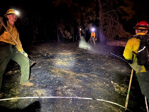 ShastaTrinityNF's tweet image. Quick work by #ShastaTrinity E-353, @CaltransD2 @CALFIRESHU #CHP #MountainGate and #Lakehead.  They have hose around it and are mopping up. Semi truck fire spread to 1/2 acre vegetation on northbound 5, a mile from the O'Brian exit. Contained, all resources released 7:30 pm
