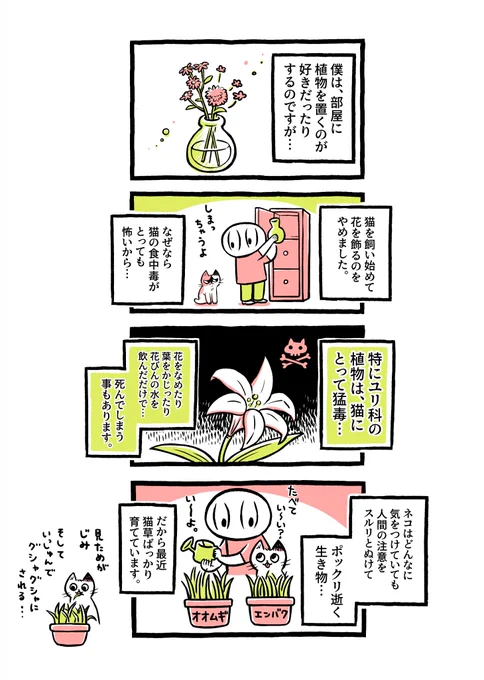 猫を飼ってやめたこと、はじめたこと。 