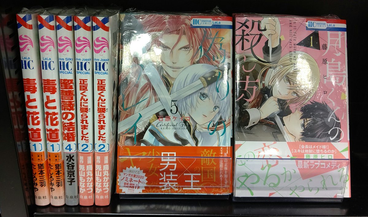 Haischlib 水谷京子 Ar Twitter Haischlib 水谷京子 Ar Twitter