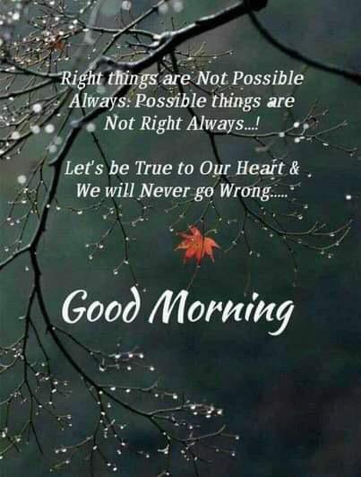 tiwari057's tweet photo. “A morning is a wonderful blessing. It stands for hope, giving us another start of what we call Life.”
#ptpicks https://t.co/QJr9rv3A5k