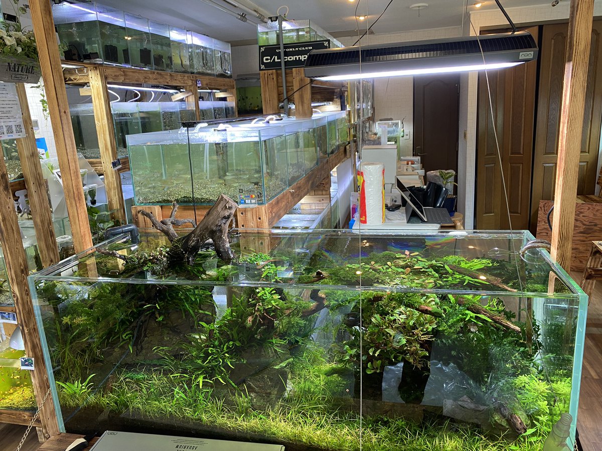 Aqua Revelation J B やっぱり良いですね ソーラーrgb Ada