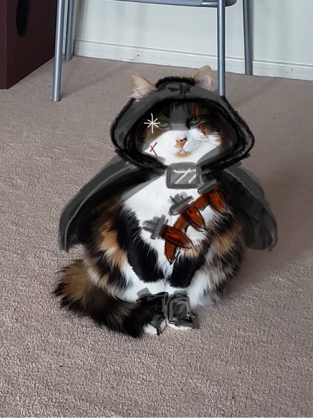 SoltySketches's tweet photo. Need a moment to chill? Take a photo of your pet and use your basic photo editor app on your phone and your finger to turn them into an adventurer. XD Been doing this for an hour now. So fun. #adventurepets https://t.co/xbuhdBHyME