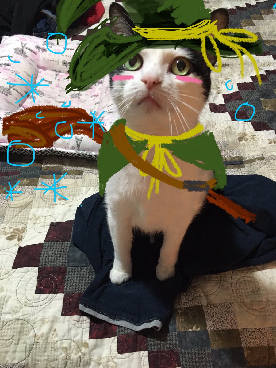 SoltySketches's tweet photo. Need a moment to chill? Take a photo of your pet and use your basic photo editor app on your phone and your finger to turn them into an adventurer. XD Been doing this for an hour now. So fun. #adventurepets https://t.co/xbuhdBHyME