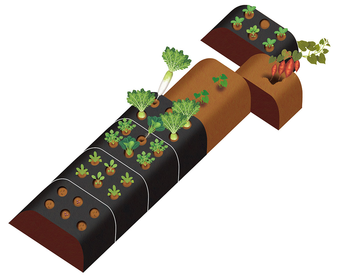 山田博之 仕事 家の光協会 やさい畑 冬号のイラストを担当しました 多品目栽培で連作障害を避ける 合わせ植えベストプラン のイラストレーション 方法とそれぞれの時期を時系列 下から上へ進行 で表現しています 詳しくは是非 雑誌で