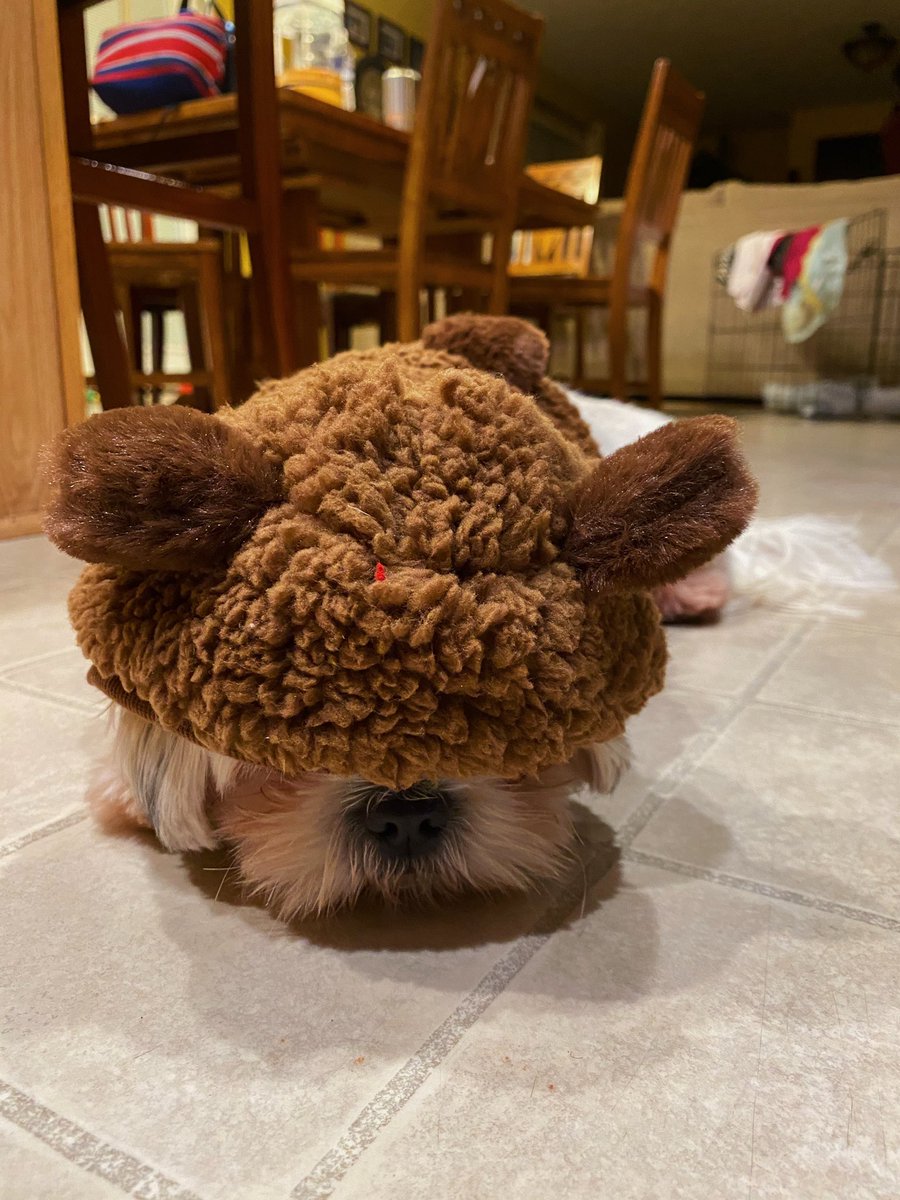 yeacaroline's tweet photo. BAyyyyYyyyyyyBBBBBBYYYYYY 🥺❤️ https://t.co/0aw4BrWcJU