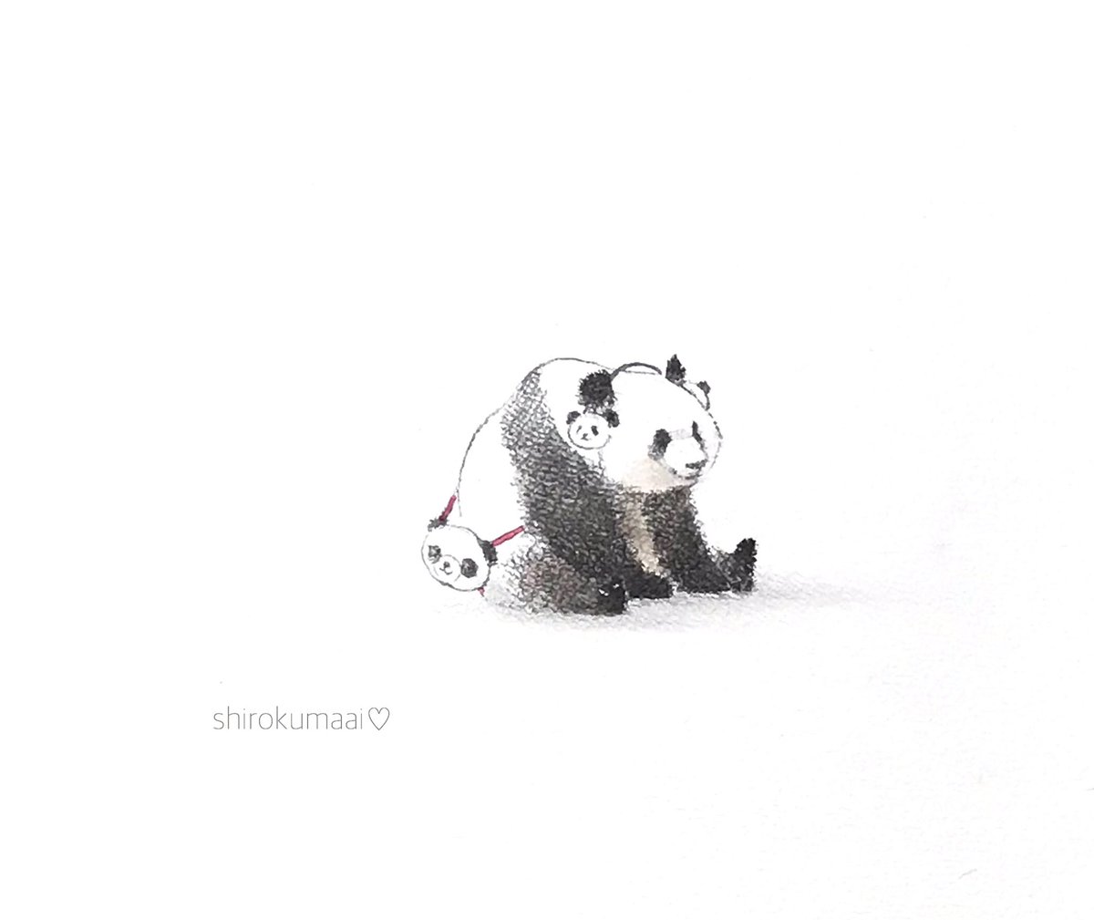 ぜ んぶお気に入り 上野動物園 シャンシャン パンダ イラスト 中村 愛のイラスト