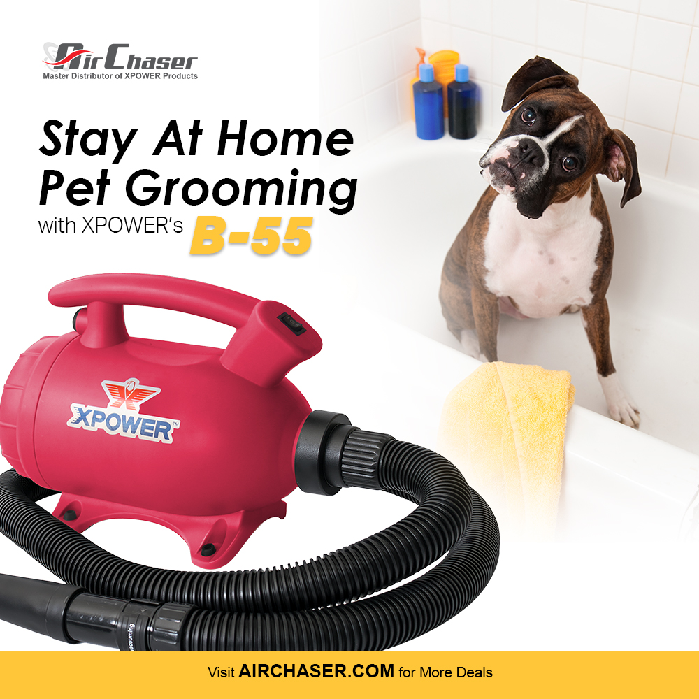 airchaserinc's tweet photo. Groom your pet from the safety of your own home with the B-55 Home Pet Dryer. This unit offers efficient drying with professional results! Its 2 HP motor features 2 speed settings with over 5 times the air volume of traditional hair dryers. Perfect for all coats and breeds! https://t.co/04V87hppFN