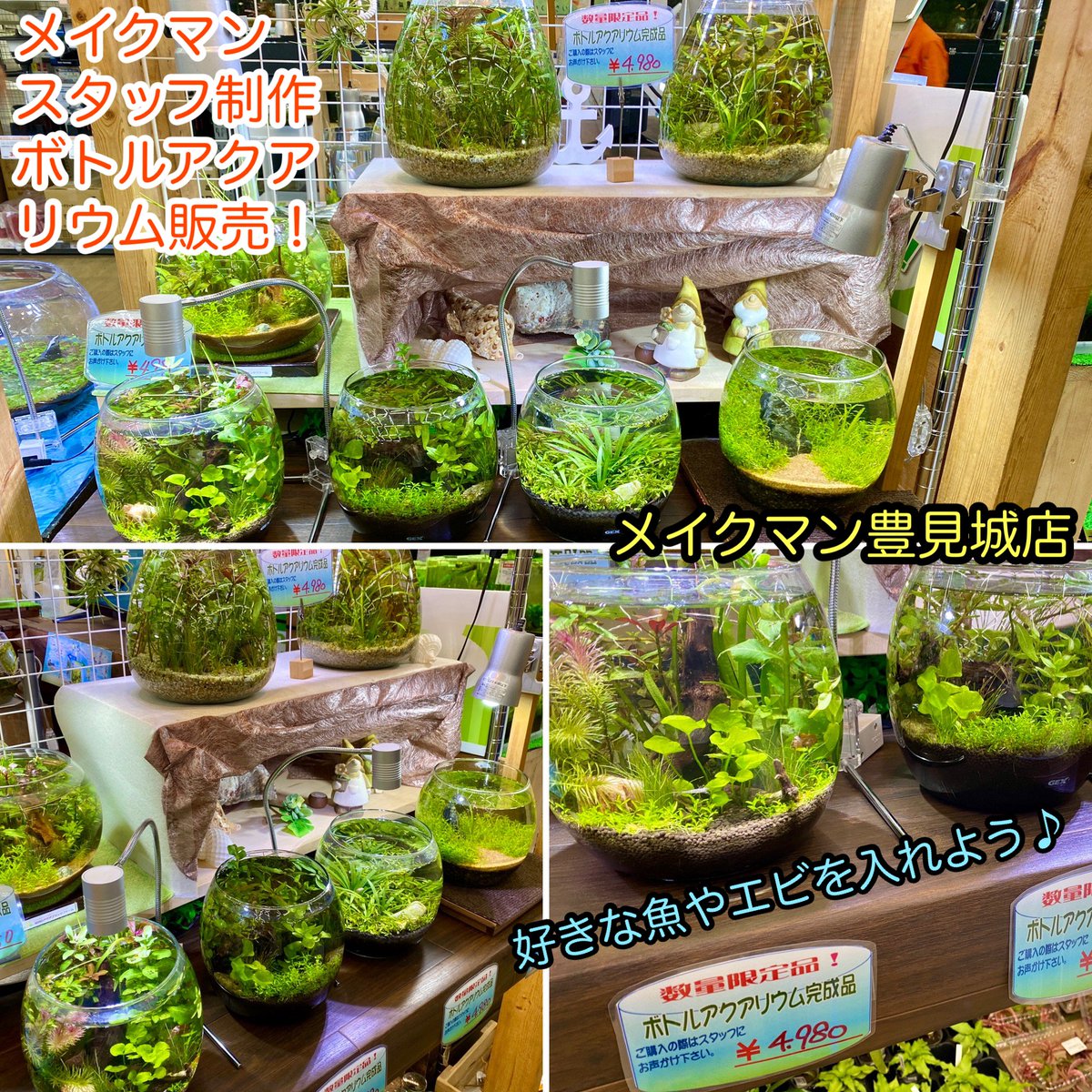 Sonoアクアプランツファーム Sonoアクアプランツからお得な水草販売情報 自社ファームで収穫 即日納品のたっぷり 多彩な水草セット お得価格でご購入頂けます 新鮮元気 各種水草パック販売 11 4 水 メイクマン豊見城店 沖縄県豊見城