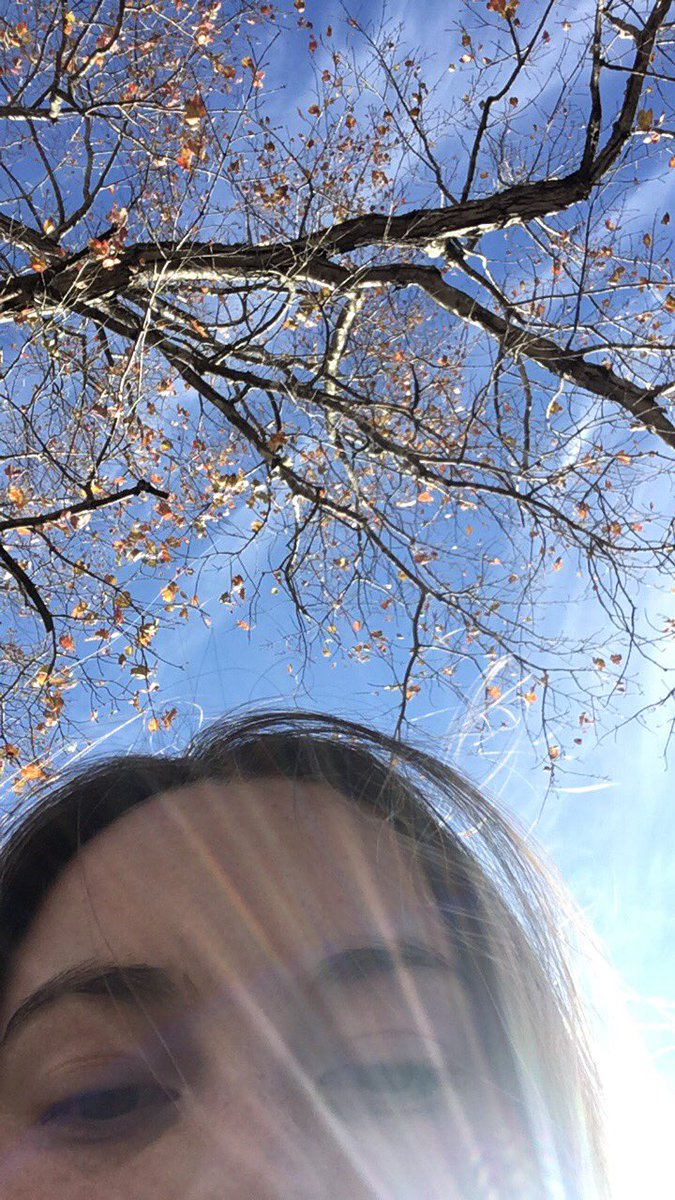 youaretreasured's tweet photo. i read the magician’s nephew under the trees today and it felt glorious #72degrees https://t.co/XJaWuPfZRh