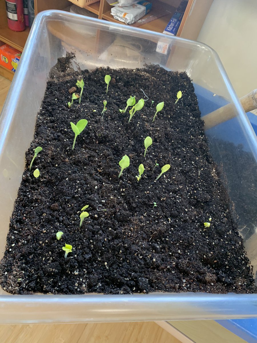 Alixandria tweet media