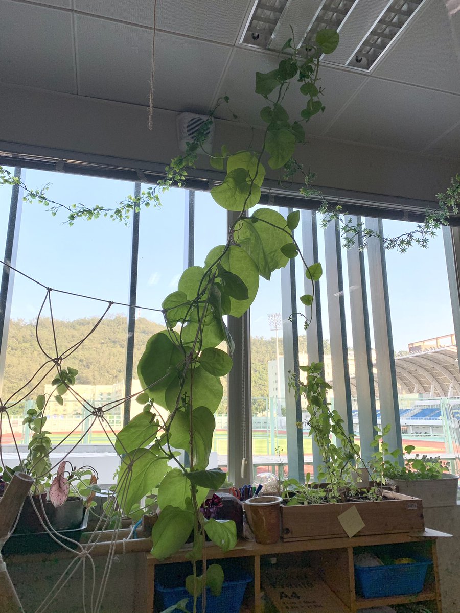 Alixandria tweet media