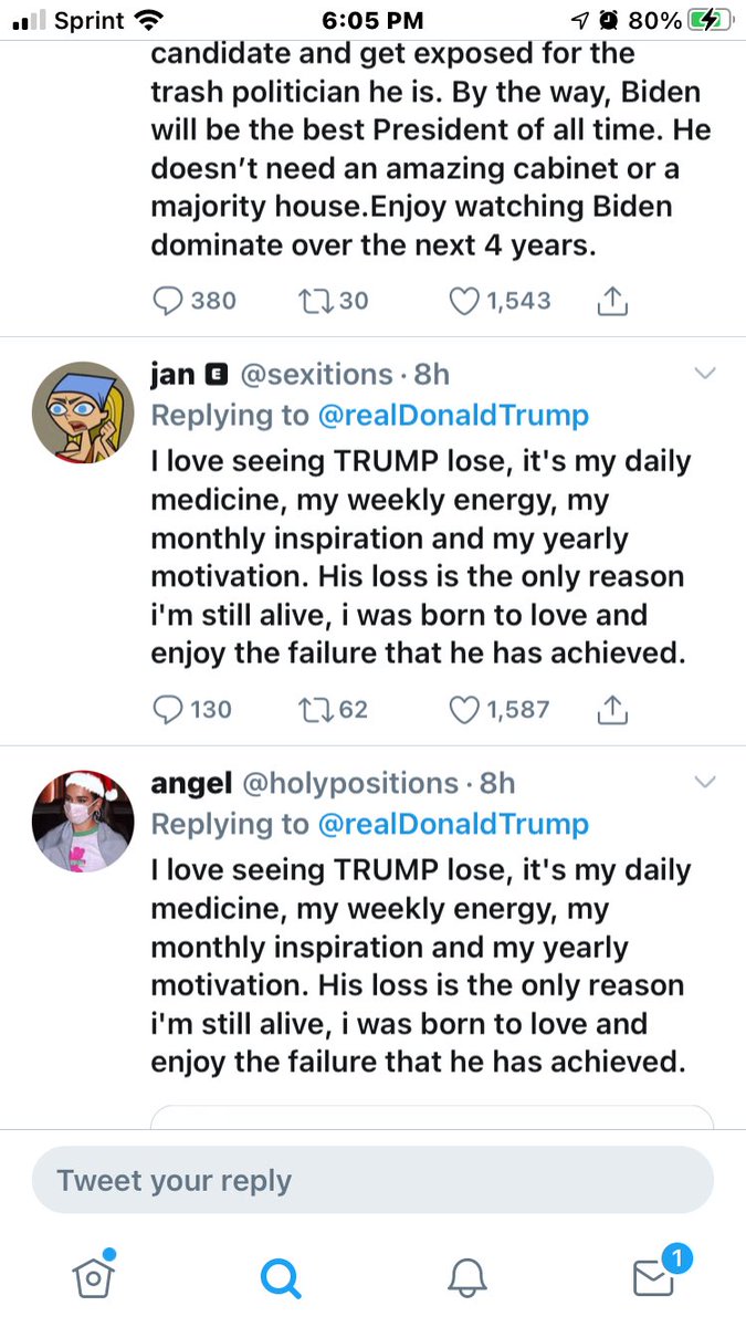 ash_kru1's tweet photo. Everyone on Twitter is trolling @realDonaldTrump and I am living!!!!!  #ThePostElection #godblessAmerica https://t.co/0hp8ffdEon