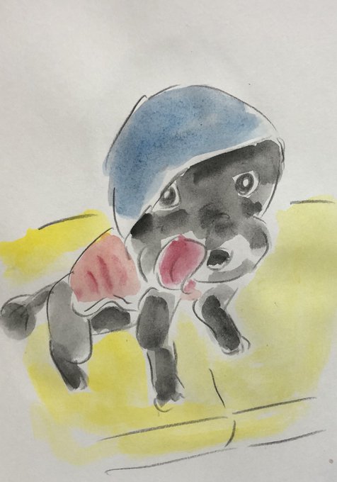 パーカー 高画質 のtwitterイラスト検索結果 パーカー 高画質 のtwitterイラスト検索結果