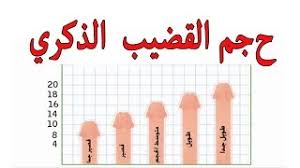 cxdhbh's tweet photo. #انس_المتحرش_ربو_عيالكمٍٍٍٍ
جهاز
تكتبًير الٌقـَـًضيًٍبًـ
قطرةً المُحنًهَ
بخاخ تاخير القذف
التواصل واتس اب اول تعليق

اعجاب لتحصل ع خصم
بنت بايدن
شتيغن
الاس��
الزمالك
ديبالا
نور القمر
غريزمان
يوسف سيف
كلين شيت
Nevada
مصطفي محمد
راشد الجديده
البيت الابيض
اليونايتد
القادسيه
chaeyoung https://t.co/vrzJdWsKOj