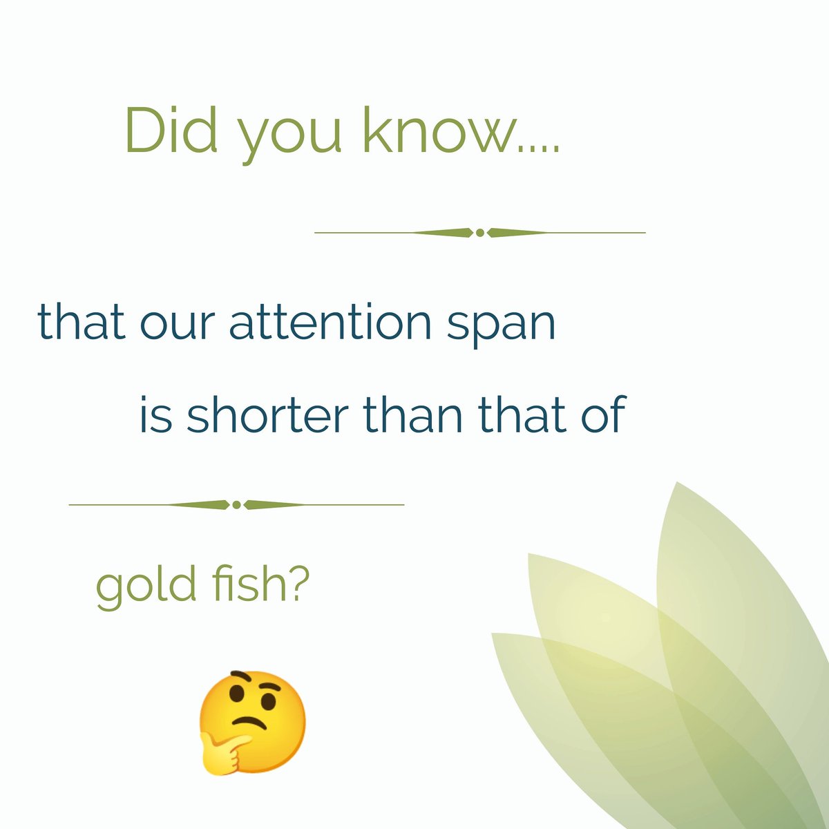 bloomtoolsTOW's tweet photo. Our attention span is shorter than that of a gold fish #DigitalMarketing https://t.co/6YhVhTtOlU https://t.co/AMOflxjrI7