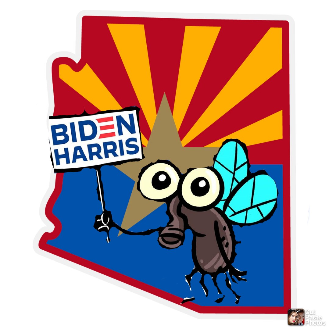 JVincheski's tweet photo. #Election2020 #FLY2020 #pencefly #DumpTrump2020 #ArizonaElection #ArizonaBlue #BidenHarris #JoeBiden #KamalaHarris  It makes sense now why Arizona flipped. Pence Fly made an appearance at a Biden rally. Go blue for Biden / Harris! https://t.co/bltOKjOBnS