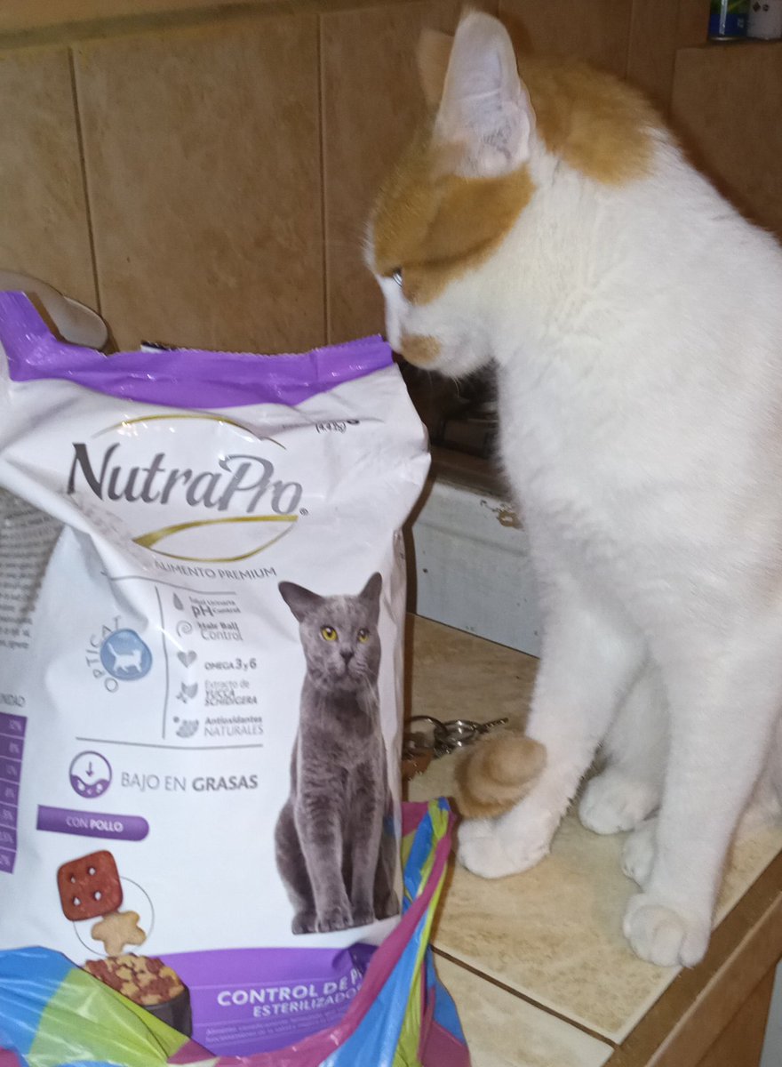 MytheE94's tweet photo. Gracias mami por mi comida baja en grasa 😂 todos estamos cambiando nuestros hábitos alimenticios ❤️ #nutrapro https://t.co/3j9phQ7Dkk