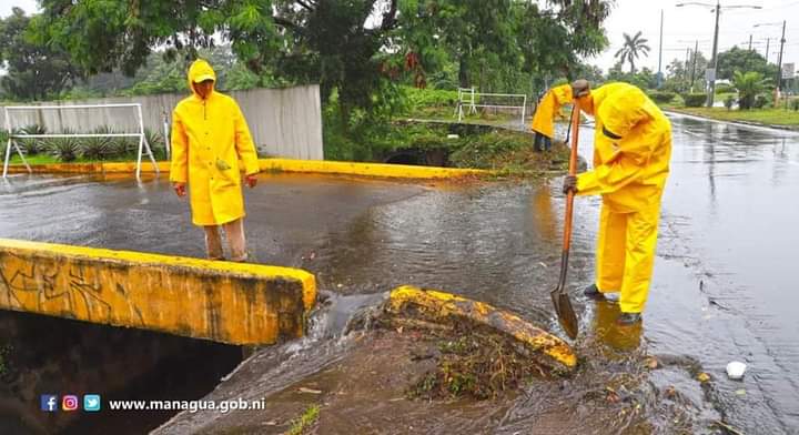 Revoluc25519367's tweet photo. Cuadrillas de la Alcaldía de Managua  se encuentran en constante monitoreo y limpieza del sistema de drenaje de toda la capital para evitar cualquier insistencia por las constantes lluvias. 🚨💪👏🌀⛈💨 #managuasandinista #Nicaragua @samcarrion18 @FloryCantoX https://t.co/cPrV6cxwzK