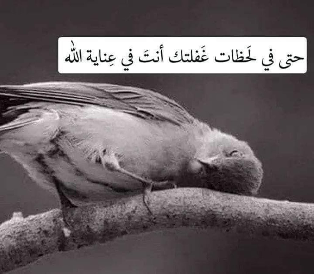 MsmJnn's tweet photo. https://t.co/l17uXLoWV7