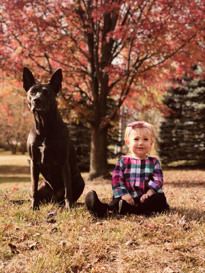 BellaMac22m's tweet photo. Hi everyone. I've been pretty quiet here lately.

Remember when Twitter was food and dogs? I'll take care of the last part. 

#Beastmodeout https://t.co/F1Fkp3qn47