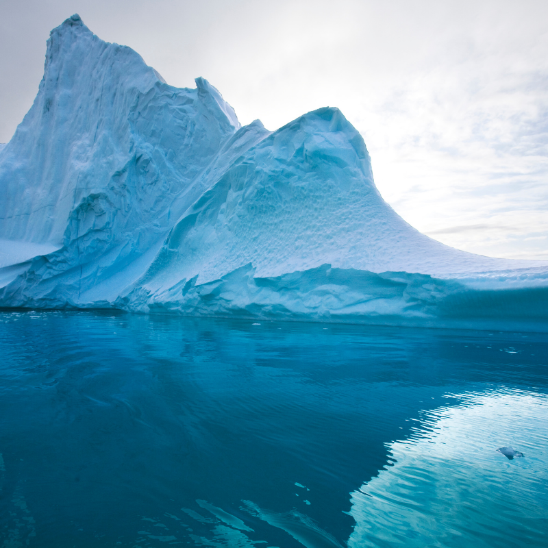 OilTerra's tweet photo. Ever wonder from what type of environment comes Terra Nova Omega-3 Seal Oil? Here are some examples. The Atlantic Harp Seals used in the production of this omega-3 oil live off the coast of Newfoundland, Canada in the millions. https://t.co/HvujRo638Z https://t.co/IYTSPDZ1H2