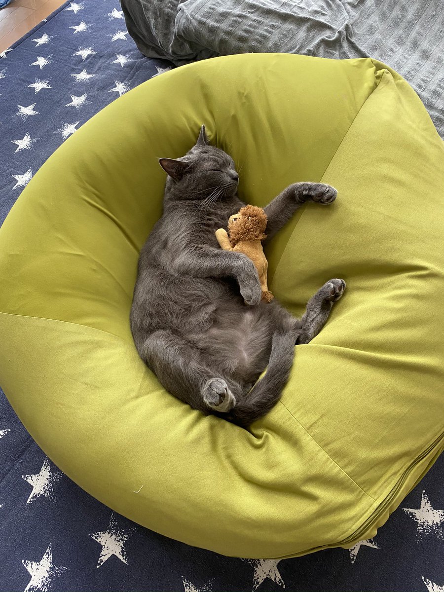 927Ryota's tweet photo. 僕は10万円が当たったらペットの猫にキャットタワーを買ってあげたいです。 #十万円のペイフォワード https://t.co/86KnuEeqtr