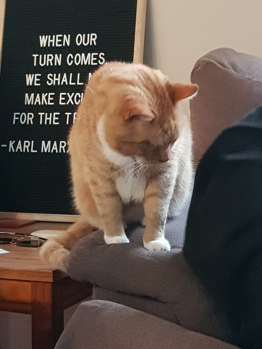 taterboiii's tweet photo. wants hot ham https://t.co/jiic5ihFj5