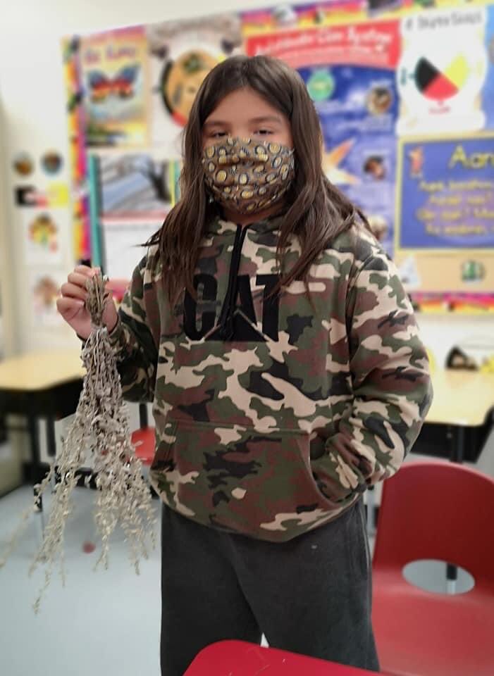 StDavidDragons's tweet photo. Today our Ojibwe Language class started to dry their sage. Miigwech to Will Morin for supporting our students hands on learning and Mrs. Fielding for welcoming knowledge keepers into the lives of our students. #TreatiesRecognitionWeek @IndigenousSCDSB https://t.co/3uJFVlqCfQ