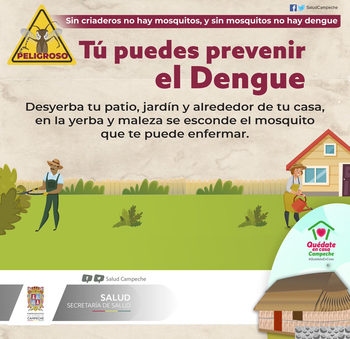 SaludCampeche's tweet photo. Sin criaderos no hay mosquitos, y sin mosquitos no hay #dengue.  Sigue estas recomendaciones y evita la reproducción del mosquito.
Más información en ➡️ https://t.co/Yr3oU6lbaF https://t.co/O1i3LB4WYV
