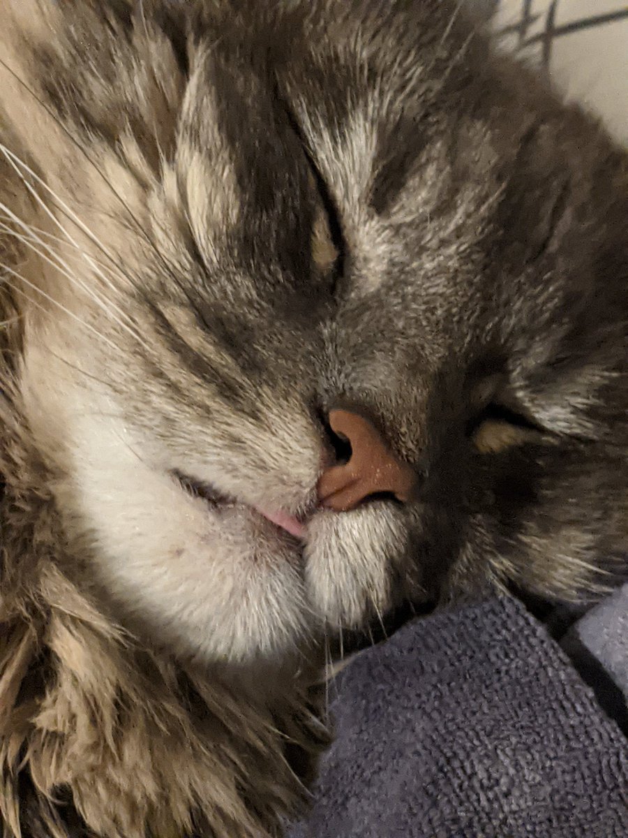 Artibuff tweet media