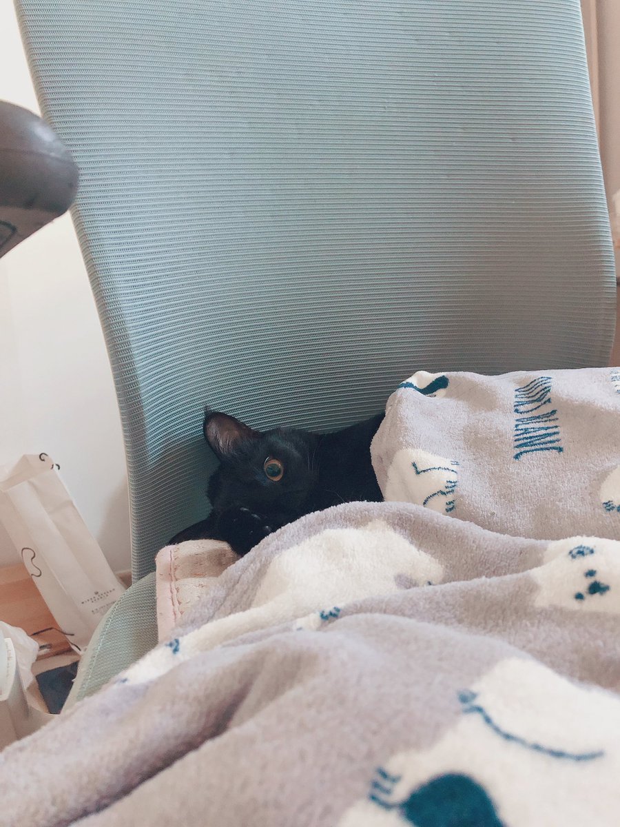 koostav's tweet photo. 모히칸정수리 https://t.co/WiAIFUrJd4